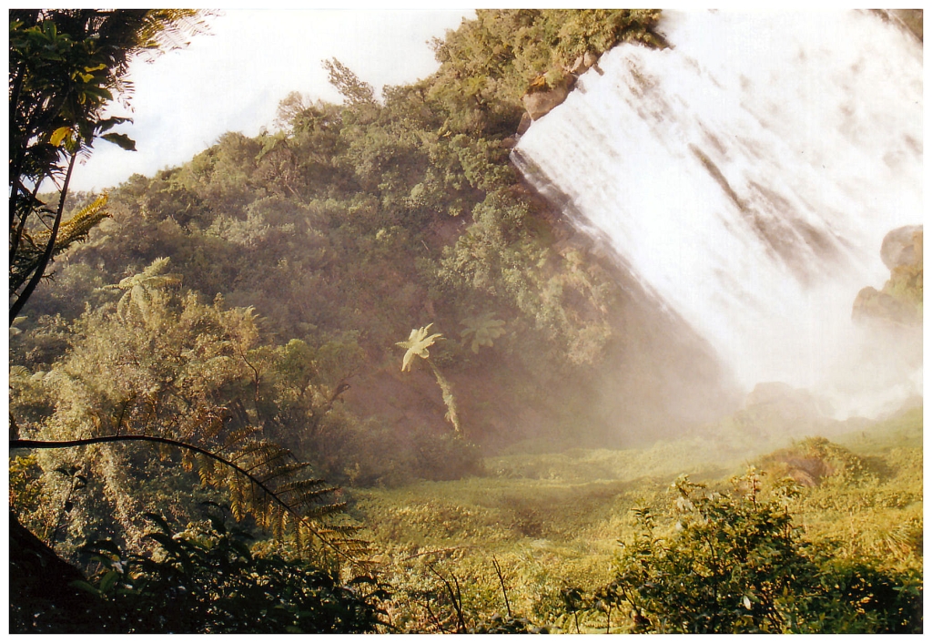 02 - Rotourua (5).jpg